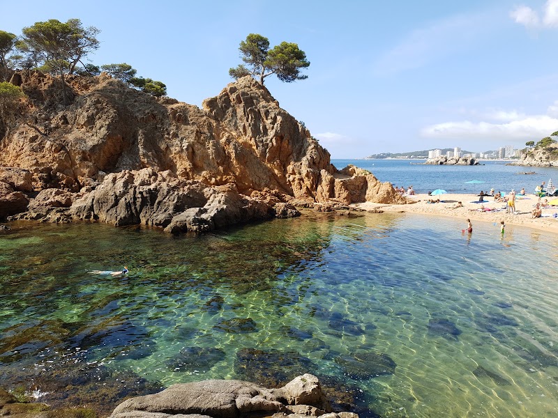 Cala del Pi