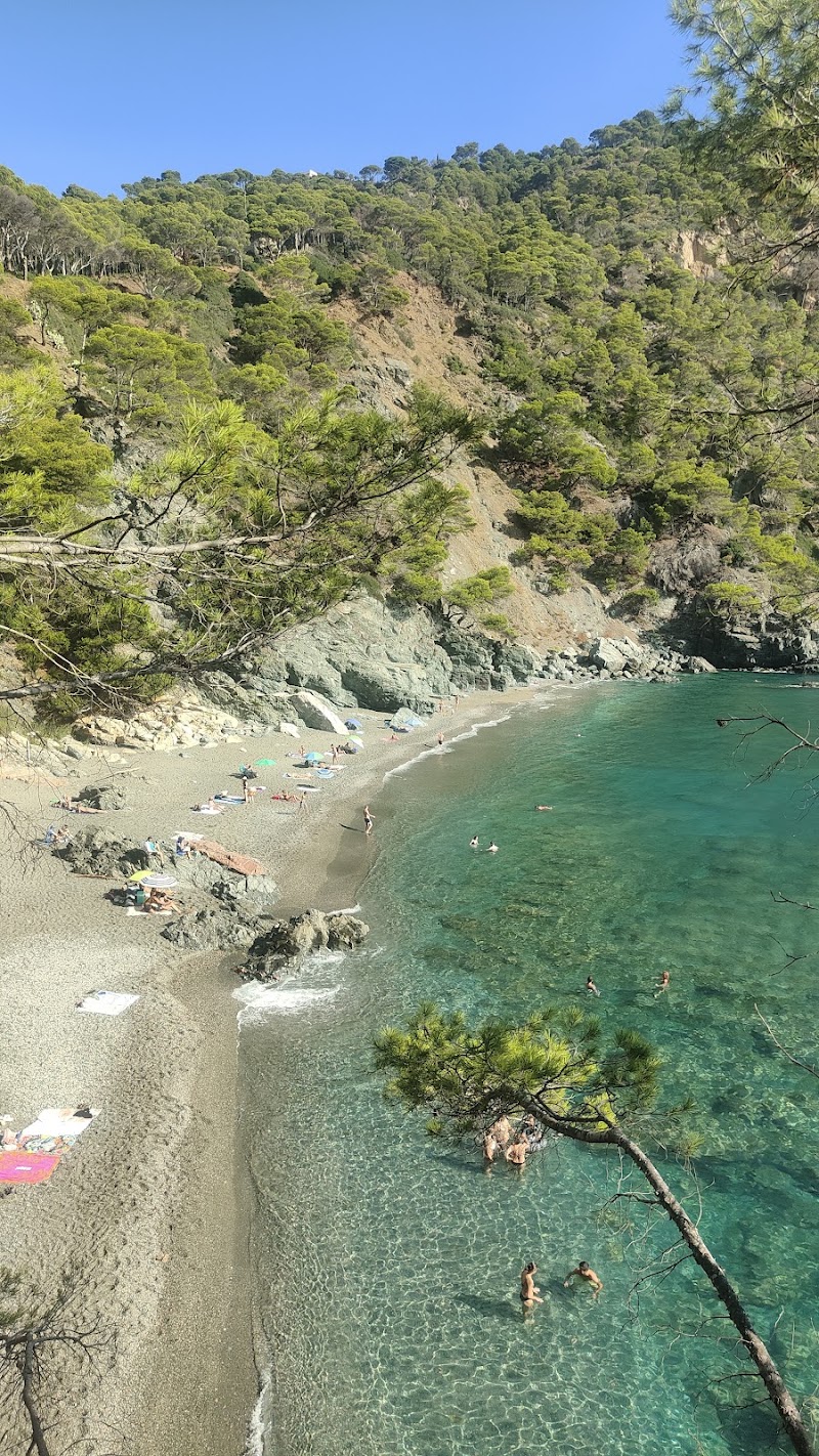 Platja Fonda live camera