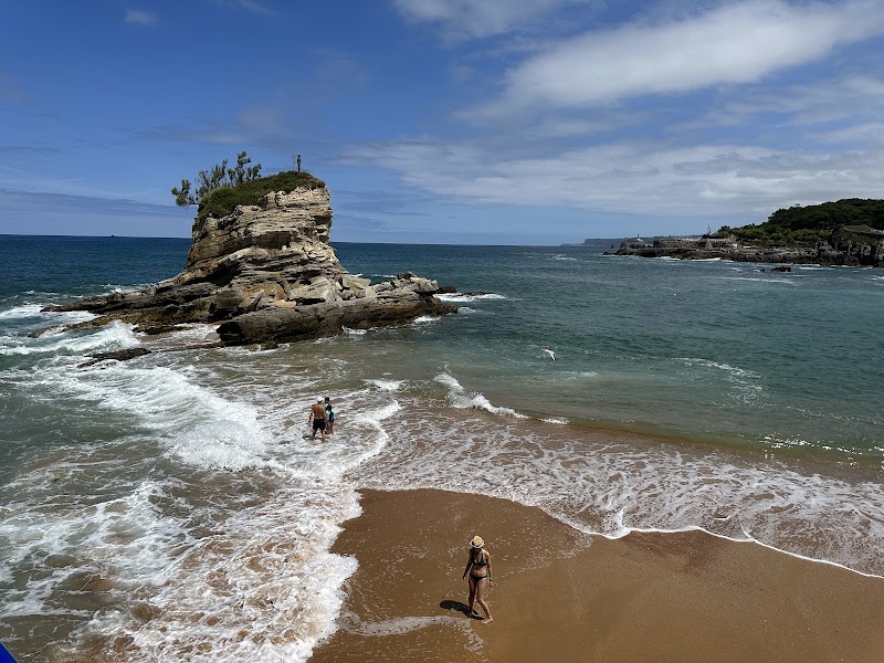 Playa del Camello